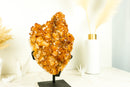 AAA Golden Orange Citrine Cluster with Large Flower Stalactite, 16 In, 25 Lb - E2D Crystals & Minerals