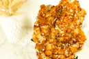 AAA Golden Orange Citrine Cluster with Large Flower Stalactite, 16 In, 25 Lb - E2D Crystals & Minerals