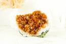Small Citrine Geode with Rosette (Stalactite) Crystal, Deep Orange, Raw and Ethical