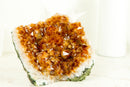 Small Citrine Geode with Rosette (Stalactite) Crystal, Deep Orange, Raw and Ethical