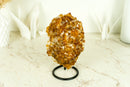 AAA Citrin-Blumenrosetten-Kristallcluster, mit tiefem Orange und perfektem Druzy