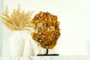 AAA Citrin-Blumenrosetten-Kristallcluster, mit tiefem Orange und perfektem Druzy