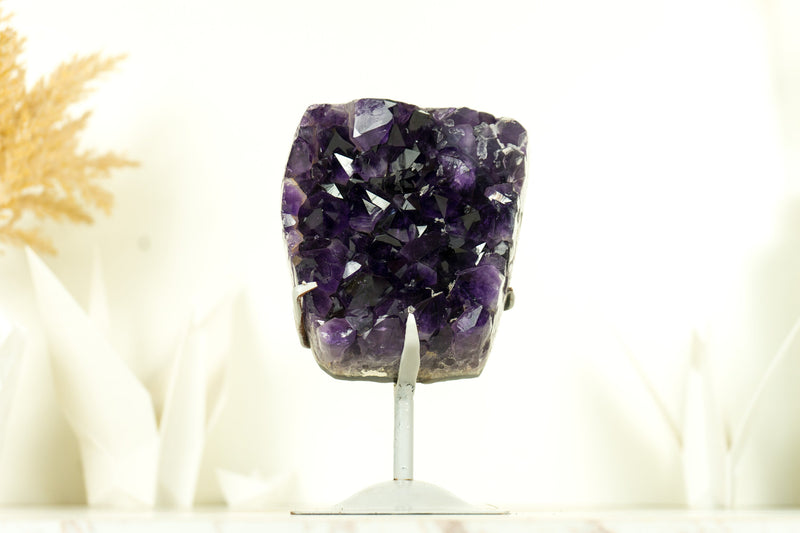 Natural Deep Purple Amethyst Cluster with Large Grape Jelly Amethyst Druzy on Stand