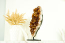 Natural AAA Deep Orange Madeira Citrine Cluster and Citrine Rosettes on Stand