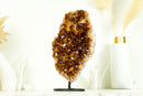 Natural AAA Deep Orange Madeira Citrine Cluster and Citrine Rosettes on Stand