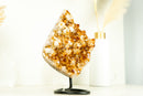 Citrine with Calcite Merchant Stone Cluster, with Golden Orange Druzy on Stand