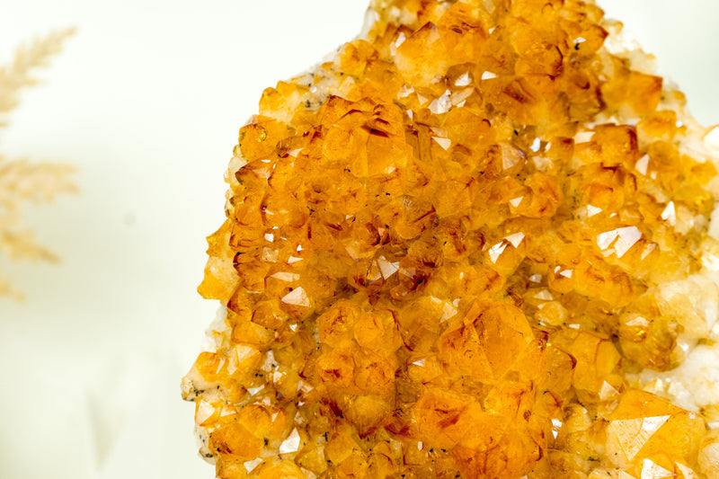 Gorgeous Rich Yellow Citrine Cluster with Rosette Flowers Druzy on Stand