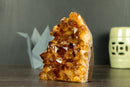 AAA Citrine Cluster with Madeira Citrine Druzy, Self-Standing