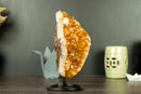 AAA Orange Citrine Cluster with Sparkly Large Citrine Druzy