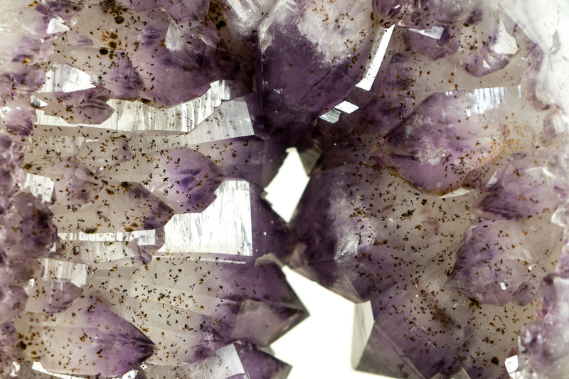 Seltene Amethyst-Krone-Geodenscheibe mit großem funkelndem Amethyst-Druzy auf einem drehbaren Ständer