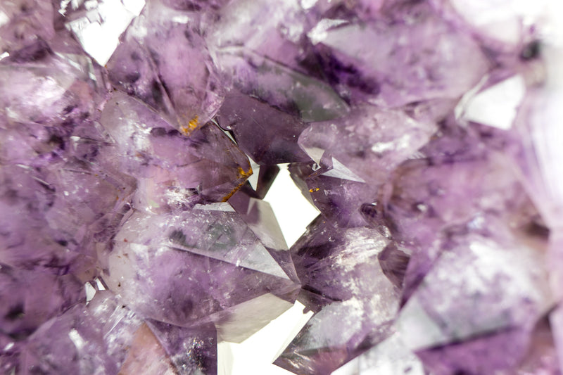 Seltene Amethyst-Krone-Geodenscheibe mit großem funkelndem Amethyst-Druzy auf einem drehbaren Ständer