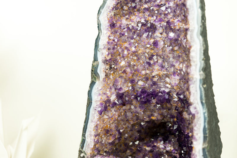 Amethyst Cathedral Geode with Rare Bi-color Formation and Golden Goethite Inclusions 11 Kg - 24 lb - E2D Crystals & Minerals