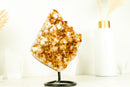 Citrine with Calcite Merchant Stone Cluster, with Golden Orange Druzy on Stand