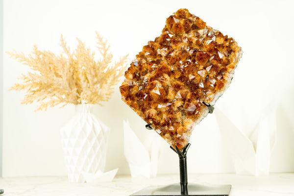Natural Citrine Cluster with AAA, Large Orange Druzy - 3.2 Kg - 6.9 lb - E2D Crystals & Minerals