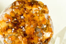 Weltklasse XL Citrin Blumenkristall Geode, mit AAA Citrin Druzy
