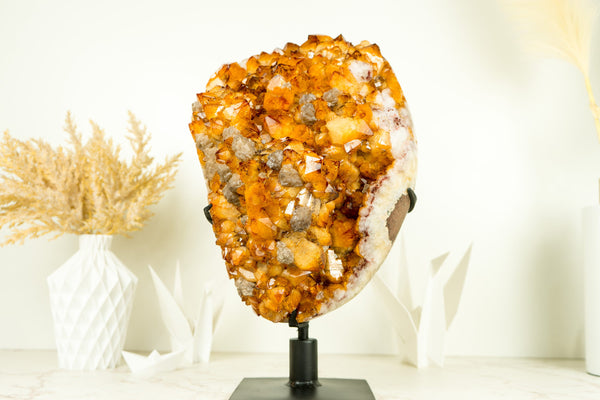 World-Class XL Citrine Flower Crystal Geode, with AAA Citrine Druzy