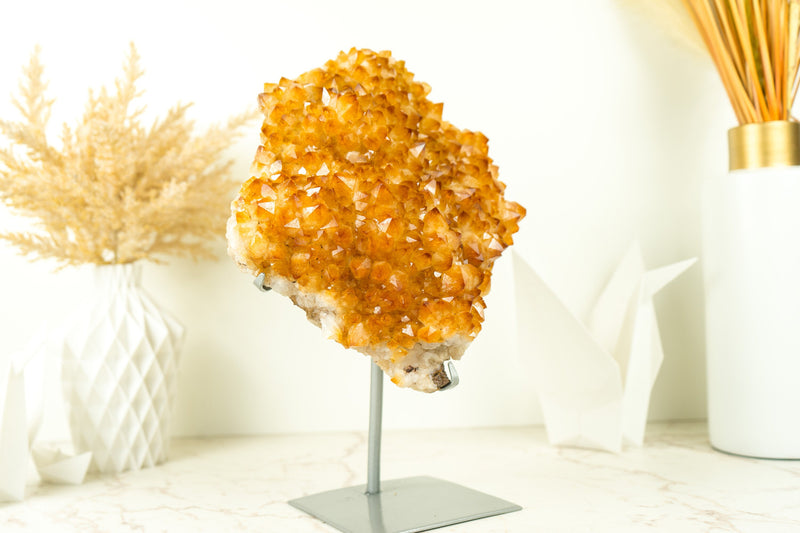 Citrin-Kristall-Blumenhaufen mit leuchtend gelbem Citrin-Drusen auf dem Display
