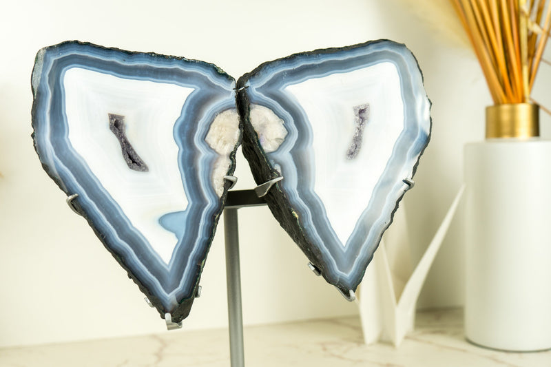 Blue Lace Agate Butterfly Geode Wings with AAA Agate and Amethyst Druzy