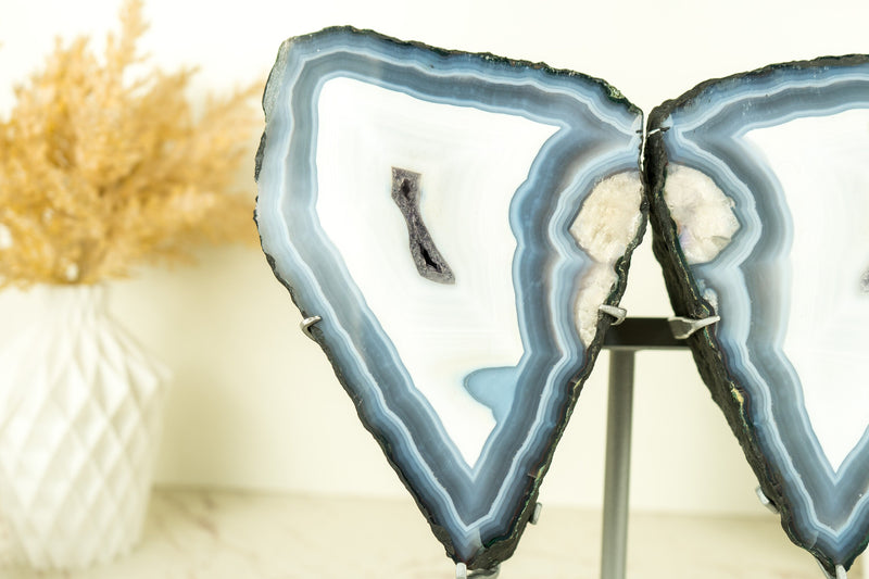 Blue Lace Agate Butterfly Geode Wings with AAA Agate and Amethyst Druzy