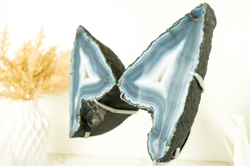 White and Blue Lace Agate Butterfly Geode Wings with Flawless Agate and Amethyst Druzy