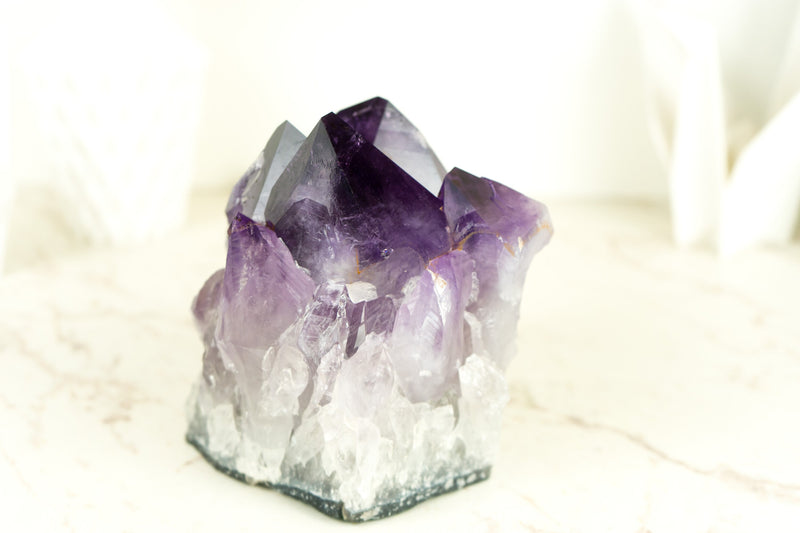 Dunkel gesättigter Amethyst-Cluster mit AAA-lila Amethyst-Druzy-Punkten