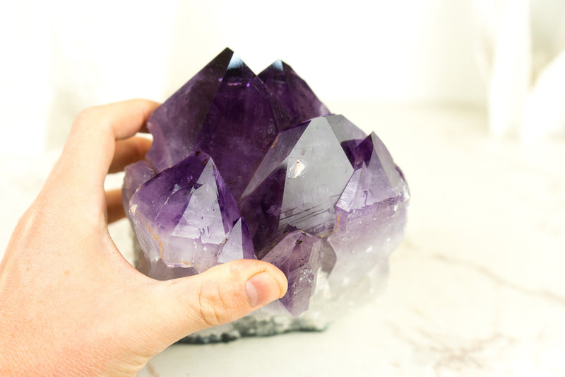 Dunkel gesättigter Amethyst-Cluster mit AAA-lila Amethyst-Druzy-Punkten