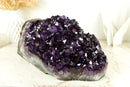 World-Class X-Large Amethyst Geode Flower Self-Standing with AAA Dark Purple Amethyst Druzy