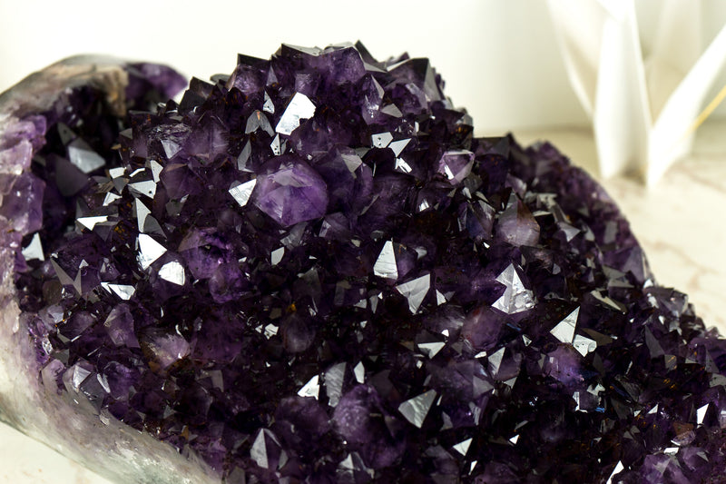 Weltklasse-Amethyst-Geodenblume, extragroß, freistehend, mit dunkelviolettem AAA-Amethyst-Drusenstein