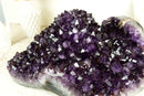 Stunning X-Large Amethyst Geode Flower with AAA Dark Purple Amethyst Druzy