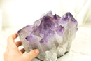 Seltener intakter Amethyst-Cluster mit violetten Phantomkristall-Spitzen aus Brasilien
