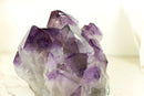 Seltener intakter Amethyst-Cluster mit violetten Phantomkristall-Spitzen aus Brasilien