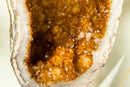 World-Class Citrine Geode with Large Stalactite Flower Formations and Deep Orange Citrine Crystal Druzy - 12.5 Kg - 27.4 lb - E2D Crystals & Minerals