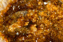 World-Class Citrine Geode with Shiny Golden Orange Citrine Crystal Druzy