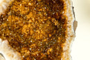 World-Class Citrine Geode with Shiny Golden Orange Citrine Crystal Druzy
