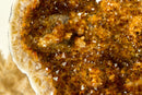 World-Class Citrine Geode with Shiny Golden Orange Citrine Crystal Druzy