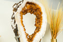 Rare Citrine Geode Slice with a Crown Formation and AAA Golden Orange Citrine Druzy on a Rotating Stand - E2D Crystals & Minerals