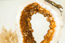 Rare Citrine Geode Slice with a Crown Formation and AAA Golden Orange Citrine Druzy on a Rotating Stand - E2D Crystals & Minerals