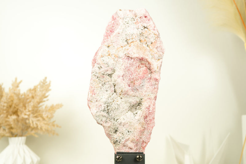 High-Grade Rhodochrosite Stalactite Slab from Capillitas Mine, Argentina, Large Size