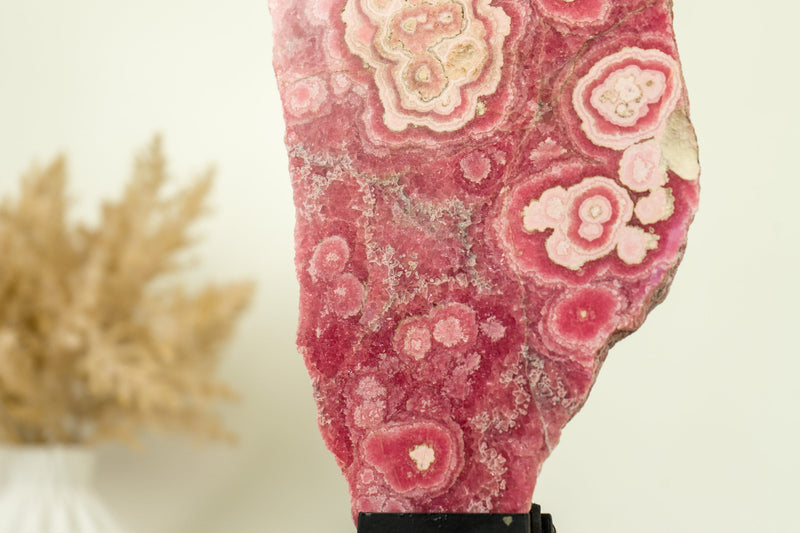 High-Grade Rhodochrosite Stalactite Slab from Capillitas Mine, Argentina, Large Size