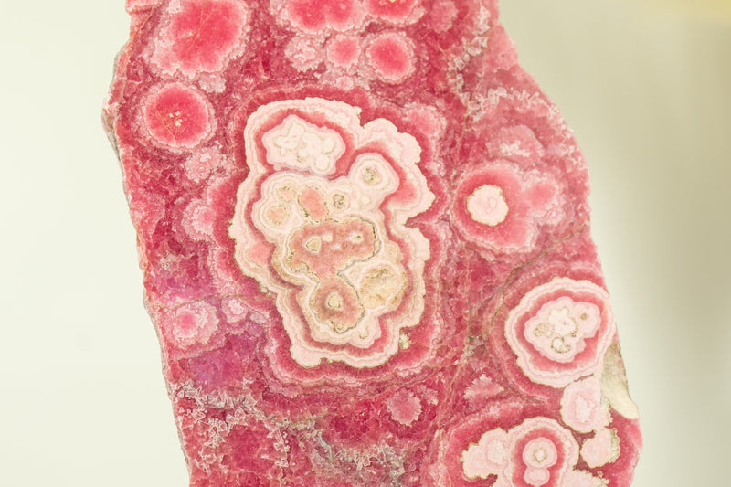 High-Grade Rhodochrosite Stalactite Slab from Capillitas Mine, Argentina, Large Size