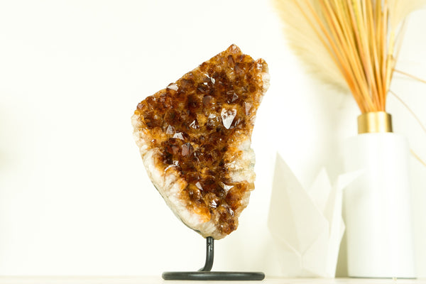 Natural Madeira Citrine Cluster with AAA Red Orange Citrine Druzy on Stand