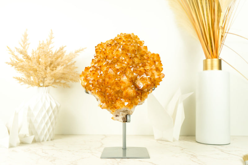 Citrin-Kristall-Blumenhaufen mit leuchtend gelbem Citrin-Drusen auf dem Display