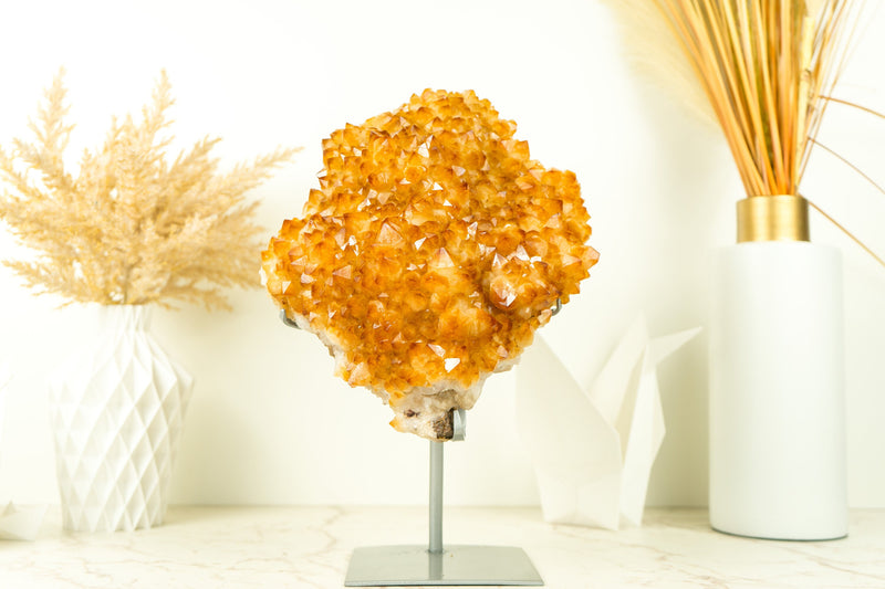 Citrine Crystal Flower Cluster with Rich Yellow Citrine Druzy on Display