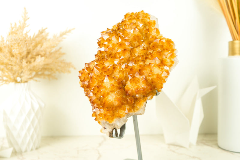 Citrin-Kristall-Blumenhaufen mit leuchtend gelbem Citrin-Drusen auf dem Display