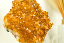 Citrine Crystal Flower Cluster with Rich Yellow Citrine Druzy on Display