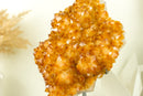 Citrine Crystal Flower Cluster with Rich Yellow Citrine Druzy on Display
