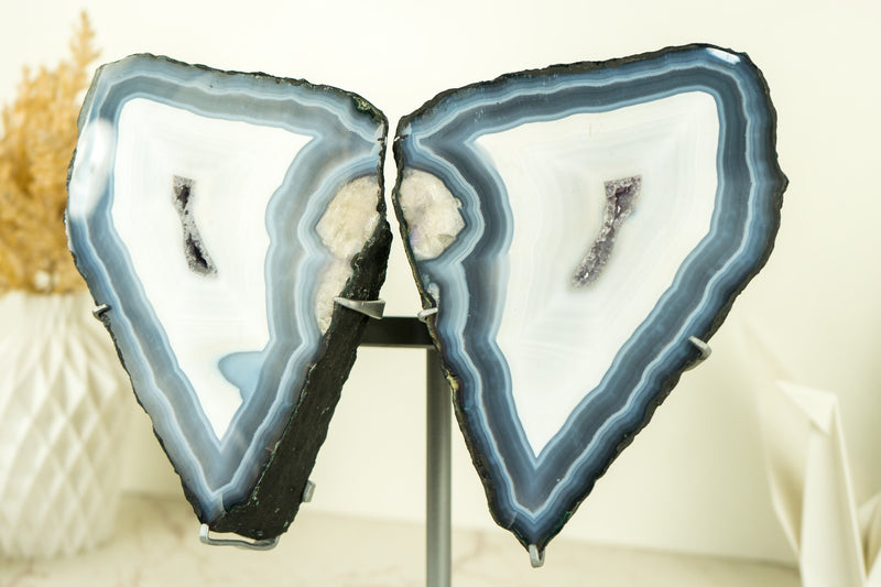 Blue Lace Agate Butterfly Geode Wings with AAA Agate and Amethyst Druzy