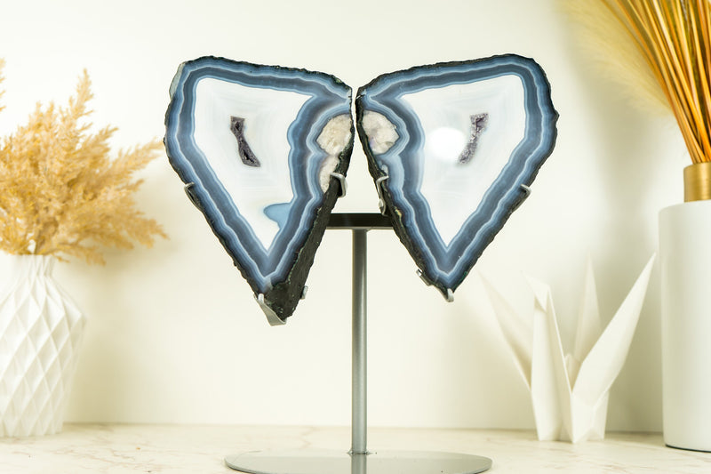 Blue Lace Agate Butterfly Geode Wings with AAA Agate and Amethyst Druzy