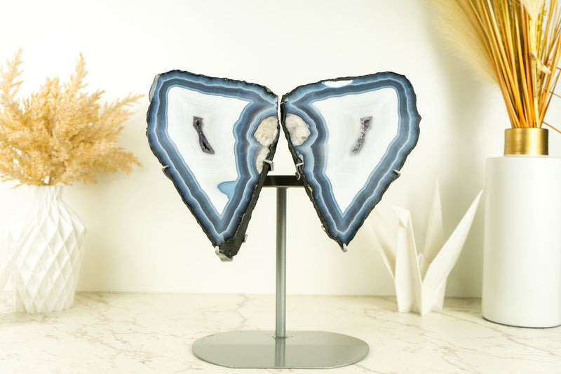 Blue Lace Agate Butterfly Geode Wings with AAA Agate and Amethyst Druzy