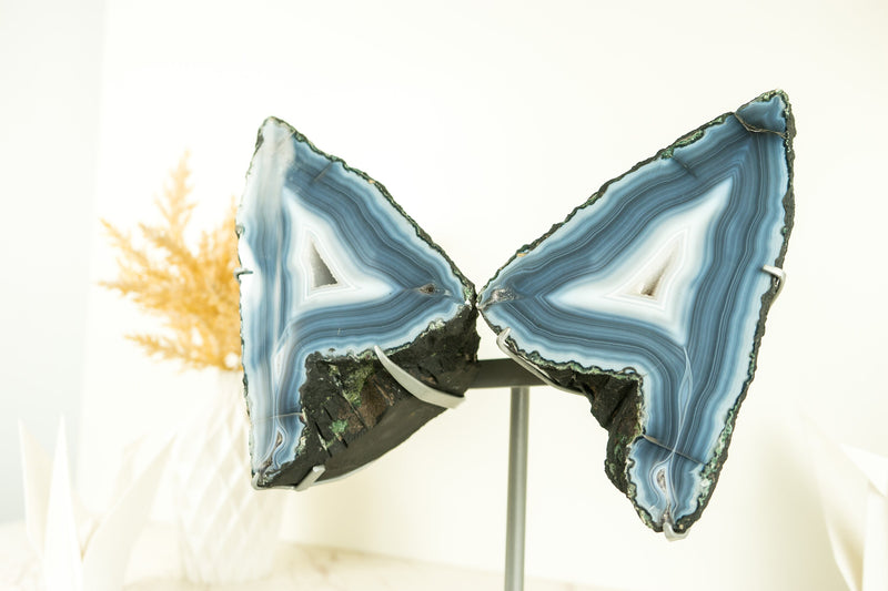 White and Blue Lace Agate Butterfly Geode Wings with Flawless Agate and Amethyst Druzy